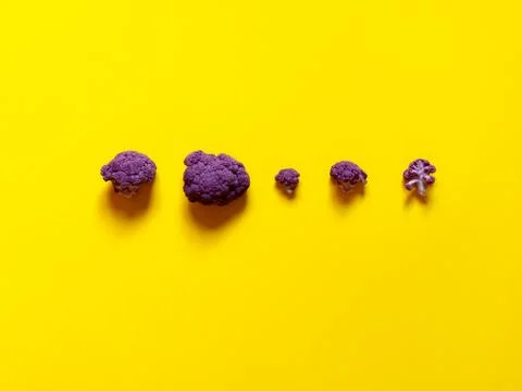 Top view of a minimalistic violet cauliflower over a yellow background Stock Photos
