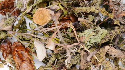 Top view mixed Chinese herb medicine rotating and pause Stock Footage 108703078