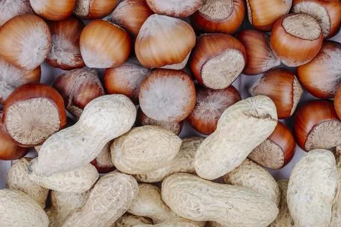 Top view of mixed nuts in shell hazelnuts and peanuts on white background Stock Photos