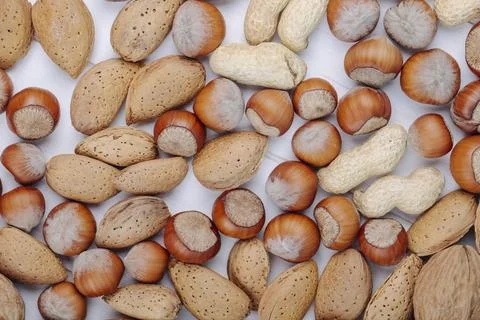 Top view of mixed nuts in shell hazelnuts peanuts and almond on white backg.. Stock Photos