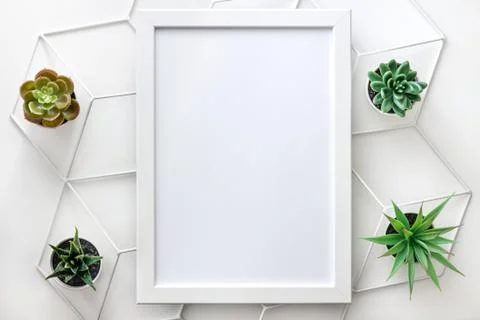 Top view mockup empty frame with succulents. Stock Photos