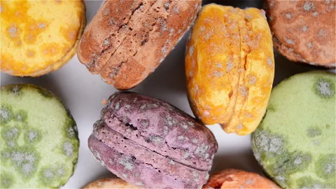 Top view moldy macaroons rotating Stock Footage 104596459