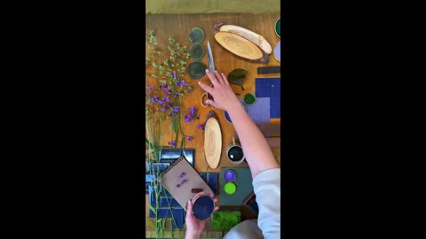 Top View of Moodboard Creation with Natural Materials and Plants — Female Hands  스톡 동영상 311846877