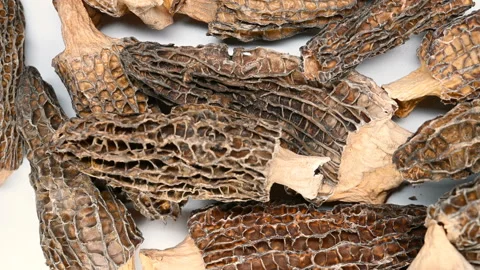 Top view morel pause and rotating Stock Footage 121831124