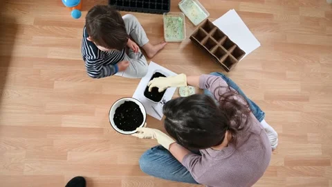 Top view of mother and son grow seedlings and pour land in containers. Stock Footage 180699568