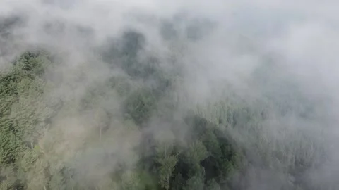 Top view of mountain covered with fog and clouds drone shot. Vidéo 237968630