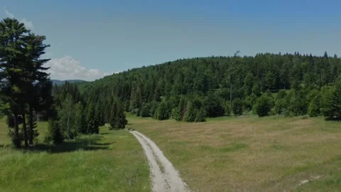A top view of the mountain forest and meadow in the highlands. Stock Footage 201064164