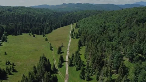A top view of the mountain forest and meadow in the highlands. Stock Footage 201064189
