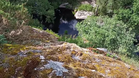 Top view of a mountain gorge among the forest in summer Stock Footage 236141371