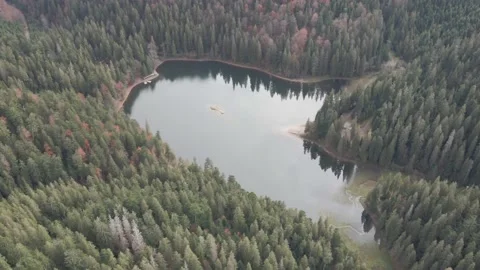 Top view of a mountain lake in the middle of a pine forest. Drone shot over a Stock Footage 147285071