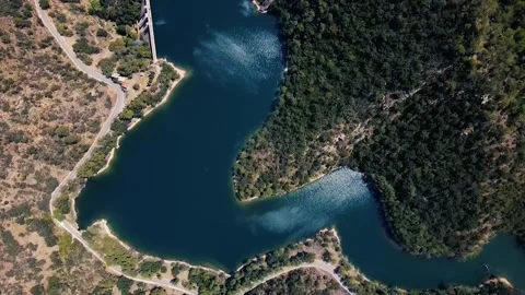 Top view of a mountain lake surrounded by forest Stock Footage 241245281