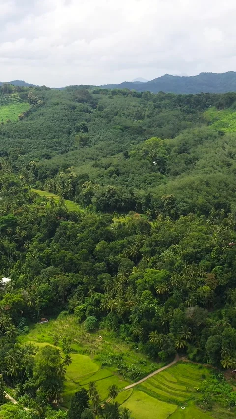 Top view of Mountain landscape in Sri Lanka. Stock Footage 252185439
