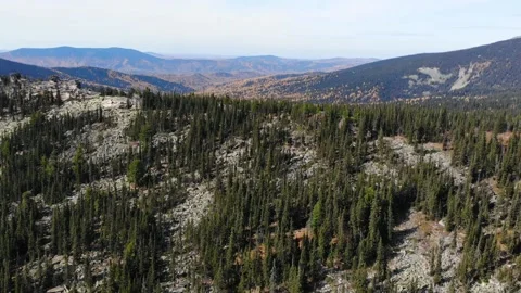 Top view of the mountain peaks and coniferous forest. Stock Footage 219336024