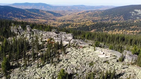 Top view of the mountain peaks and coniferous forest. Stock Footage 219450321