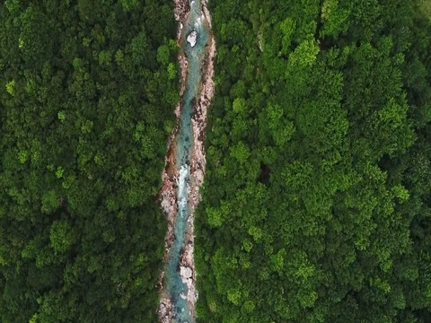 Top view of a mountain river in the forest and bridge 스톡 동영상 80248961