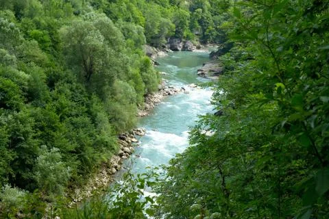 Top view of mountain river in forest Stock Photos