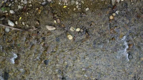 Top view of a mountain stream with many colorful pebbles and a quick current Stock Footage 151278615