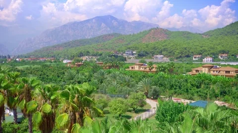 Top view of mountains and palm trees. Kiris Stock Footage 250535418