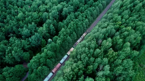 Top view of a moving train in the forest. A freight train is traveling on rails. Stock Footage 204010921