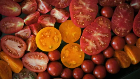 Top view of multicolored tomato slices with visible seeds and glistening jui Stock Footage 345528735