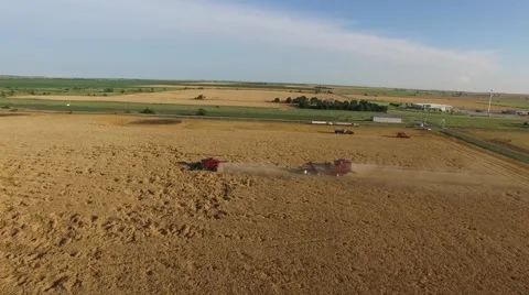 Top View of Multiple Combines - Aerial Stock Footage 65318582