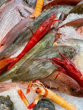 Top view in multiple rows of various raw fish, carabineros and langoustines Stock-Fotos
