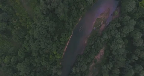 Top view of narrow river in forest green in evening Stock Footage 90518349