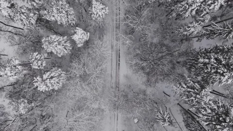 Top view of a narrow road cutting through a dense winter forest covered in 스톡 동영상 331070495