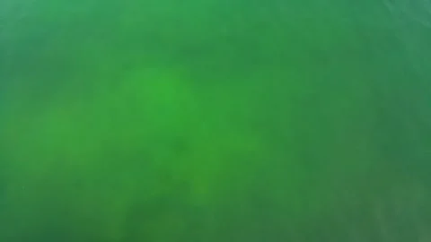 Top view natural background of rippled sea-green sea water. Stock Footage 196608548