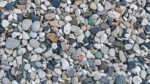 Top View of Natural Multi Colored River Stones and Smooth Pebbles Stock Photos