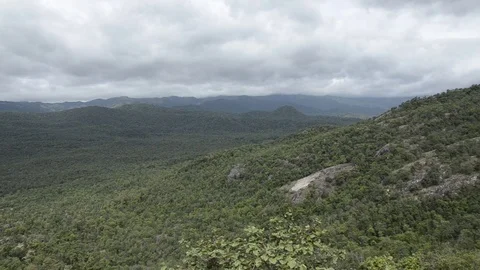 Top view nature 스톡 동영상 77748460