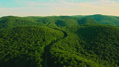 Top view on nature scene Stock Footage 150204424