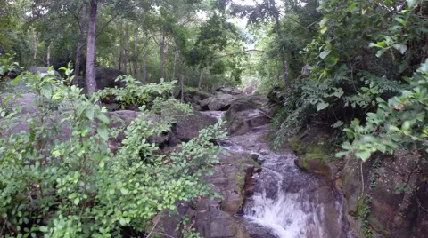 Top view on Nature waterfall in deep forest Stock Footage 43020076