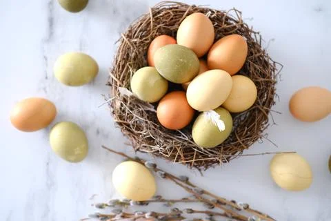 Top view of a nest of twigs inside with yellow, green and light green easter Stock Photos
