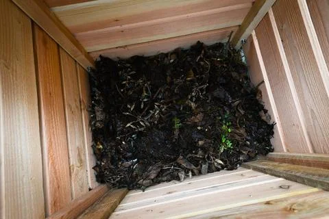 Top view on a new, almost empty wooden compost bin Stock Photos