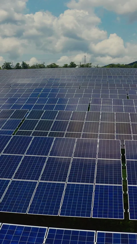 Top view of a new solar farm. Rows of modern photovoltaic solar panels next to 스톡 동영상 274764793