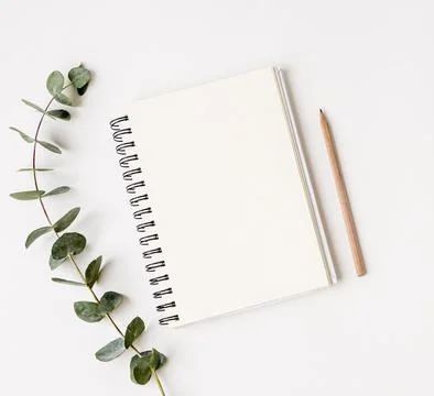Top view notepad with green leafs concept 写真素材