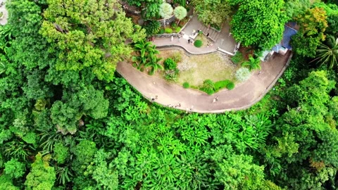 Top view of the observation deck, people resting, Karon view point, green trees Stock Footage 246107747