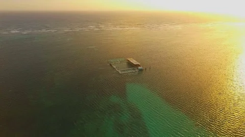 Top view of the ocean in the evening rays of the golden sun Stock Footage 72152618