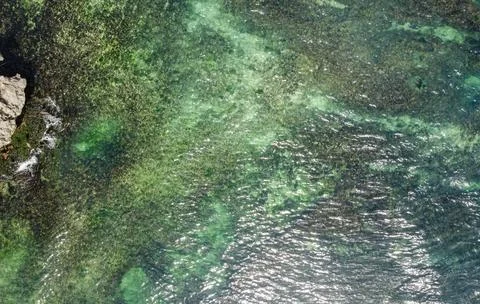 Top View of Ocean Waves Crashing on the Shore with Textured White Foam Foto stock