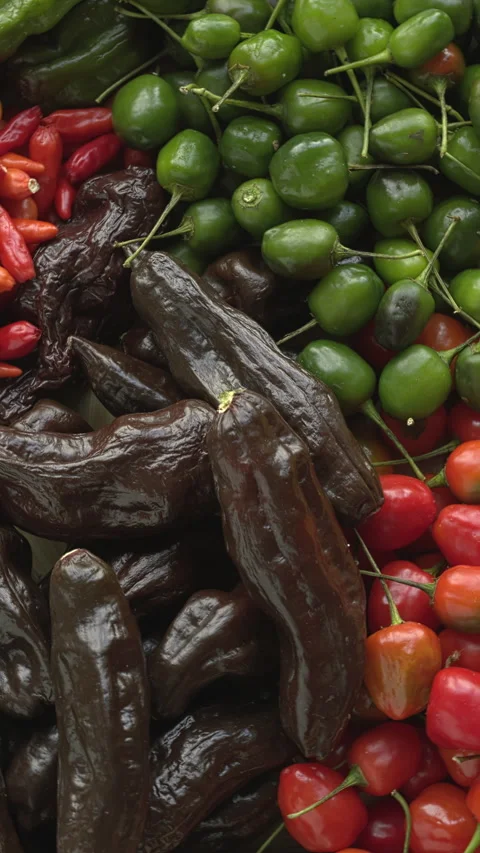 Top view ofdifferent varieties of chilies. Video stock 308254353