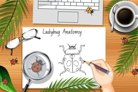 Top view office work table with office elements with green leaves and insects イラスト素材