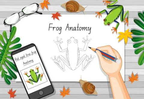 Top view office work table with office elements with green leaves and insects Stockillustratie