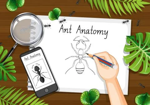 Top view office work table with office elements with green leaves and insects Illustrazione stock