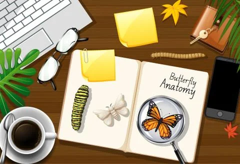 Top view office work table with office elements with green leaves and insects Illustrazione stock