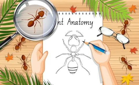 Top view office work table with office elements with green leaves and insects 스톡 일러스트