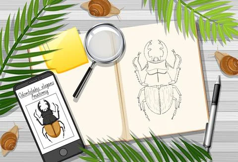 Top view office work table with office elements with green leaves and insects Illustrazione stock