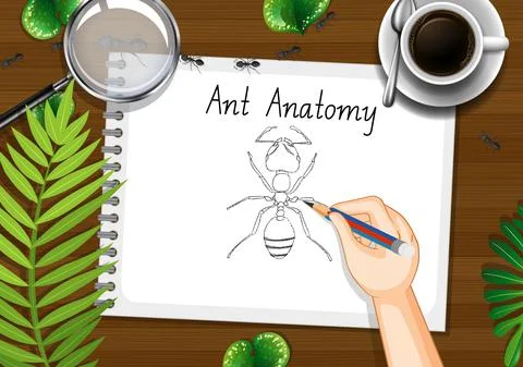 Top view office work table with office elements with green leaves and insects イラスト素材