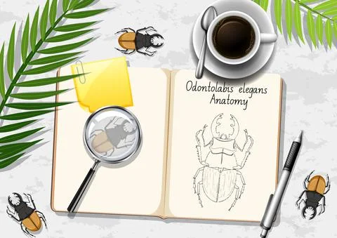 Top view office work table with office elements with green leaves and insects Illustrazione stock