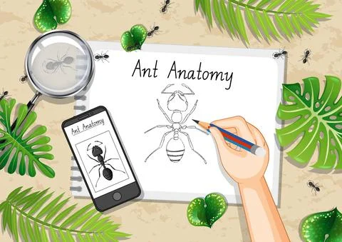 Top view office work table with office elements with green leaves and insects Stock Illustration